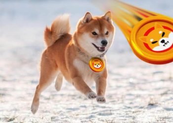 Dogecoin and Shiba Inu: Dogecoin is testing 0.06500 level