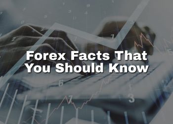 Forex Facts That You Should Know: The Currency Chronicles
