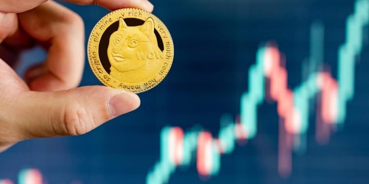 Dogecoin and Shiba Inu: Dogecoin bounced back to 0.08000