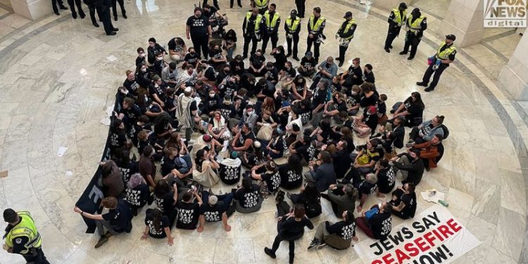 Soros’ foundation funds nonprofit that finances pro-Palestine protests: Watchdog group