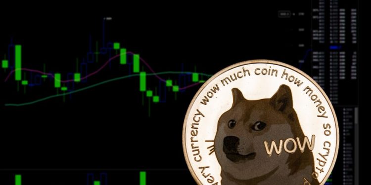Dogecoin and Shiba Inu: Shiba Inu is testing the EMA50
