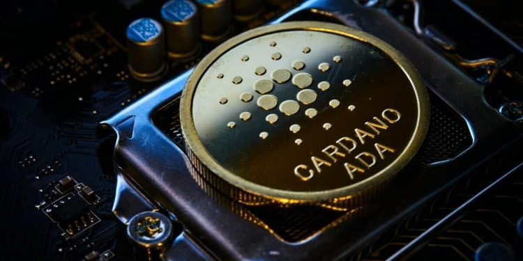 Solana and Cardano: Cardano is back above the 0.500 level