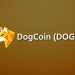 DogCoin: how to buy and how to mine DogCoin as a PRO?