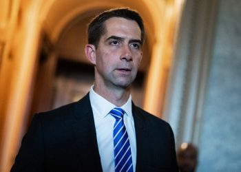 Cotton probes DOD on security risks of Chinese-owned tutoring company for US military families