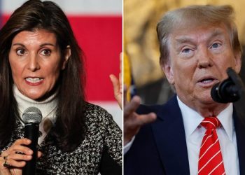 Haley mocks Trump in effort to entice debate with former president ahead of SC primary: ‘Can’t hide’