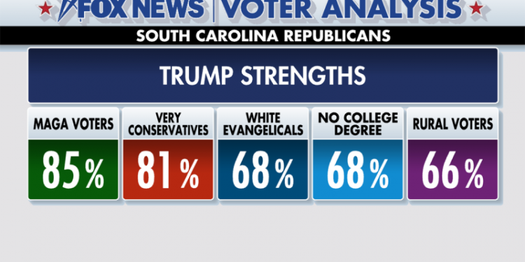 Fox News Voter Analysis: Trump Bests Haley in Her Home State