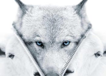 Google Gemini invented fake reviews smearing my book about Big Tech’s political biases