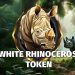 White Rhinoceros (WHRH) Price Skyrockets By 526.91% Today