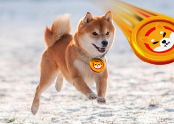 Dogecoin and Shiba Inu: Dogecoin is back above 0.18000