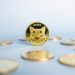 Will Shiba Inu coins reach $1?