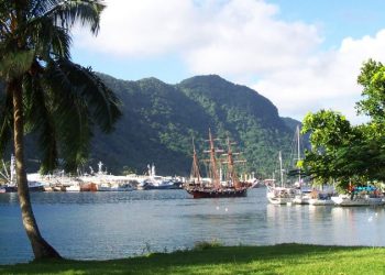 Who is Jason Palmer, the Democrat who beat Biden in American Samoa’s caucus?