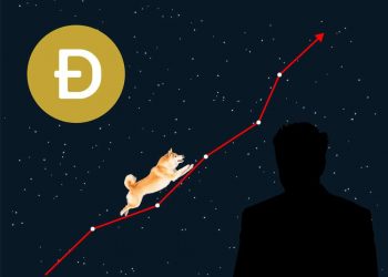 Dogecoin and Shiba Inu: Shiba Inu on the bullish side 