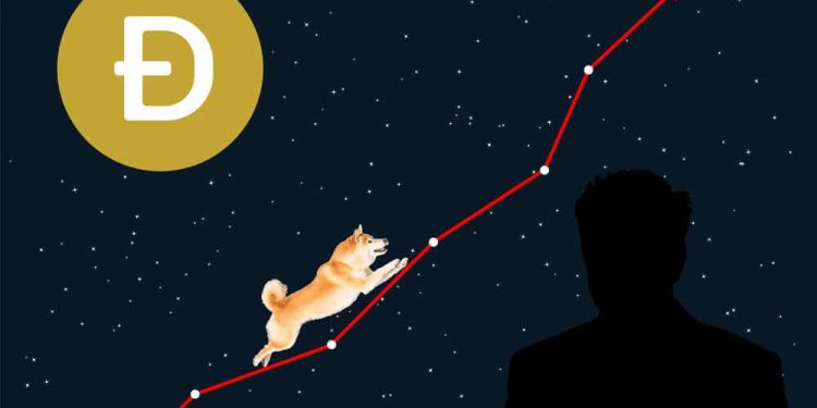 Dogecoin and Shiba Inu: Shiba Inu on the bullish side 