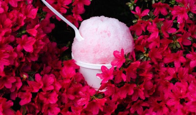 This small Missouri city could cash in on the eclipse. It’s trying hard not to.