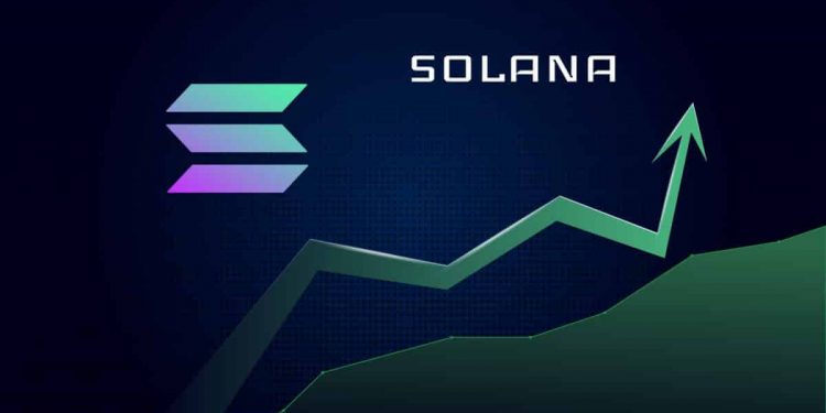 Solana at $135: Potential Rebound to $250
