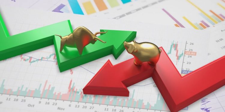 Navigating Bull and Bear Markets: Investor Strategies