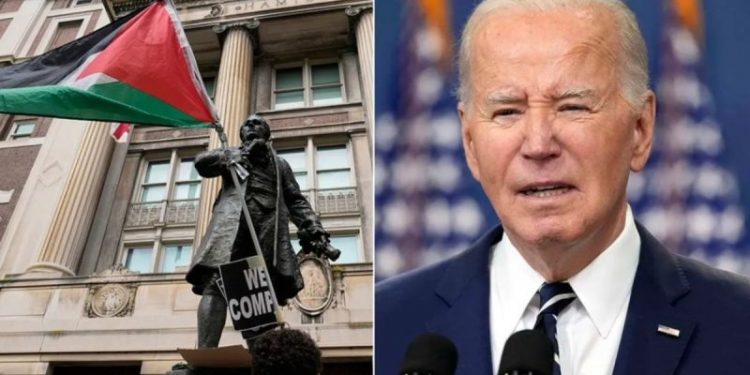 Biden admin ripped by experts as antisemitism gets ‘worse’ over past 6 months: ‘Should have seen it coming’