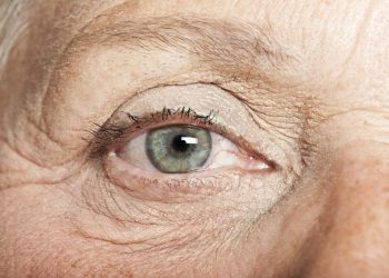 Human Ageing – The Search for a Longer Life