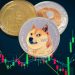 Dogecoin and Shiba Inu: Doge is moving to the bearish side
