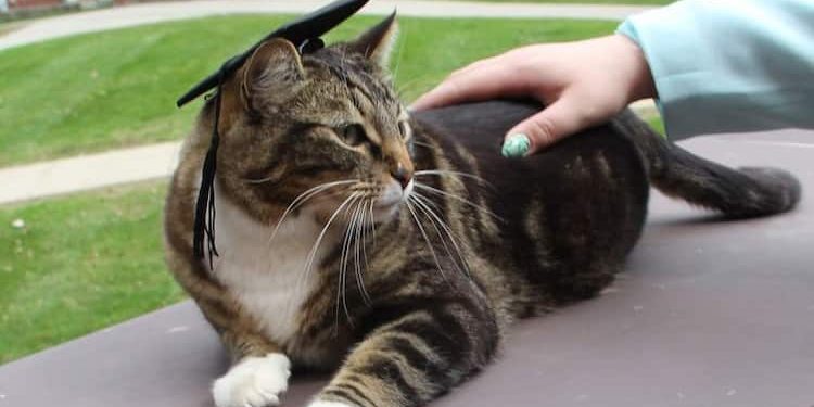 Biden, world leaders and veterans mark D-Day’s 80th anniversary in France