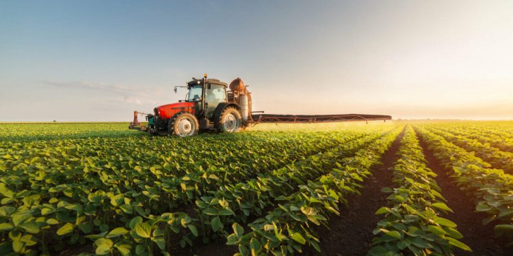 Sizzling Summer Commodities: What’s Hot in 2024?