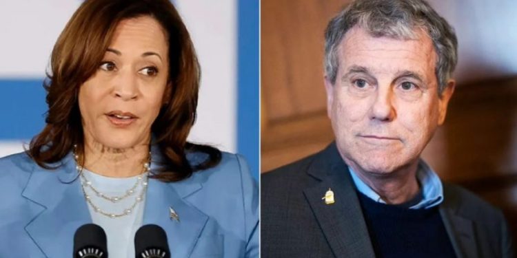 Vulnerable Dem senator hit with immigration ad tying his policies to his ‘new friend’ Kamala Harris