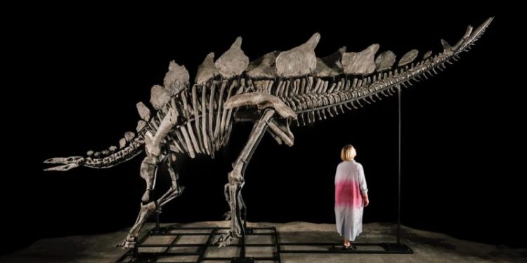 Citadel’s Ken Griffin buys a stegosaurus for $45 million in a record auction sale