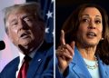 Harris, Trump hold dueling events as a new presidential race takes shape