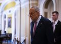 Schumer leaves room to maneuver on Biden