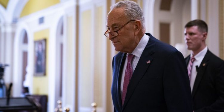 Schumer leaves room to maneuver on Biden