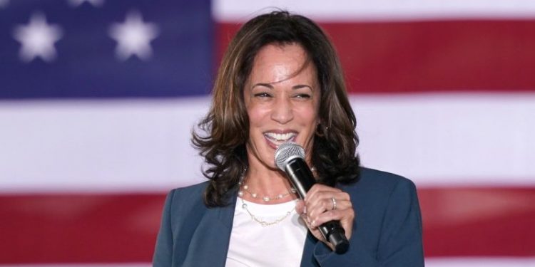 Kamala rides tsunami of positive press, but skeptics see a risky choice