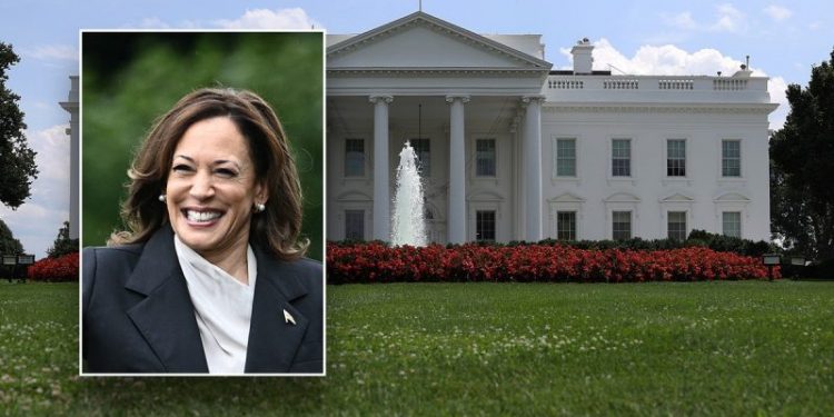 How Vice President Kamala Harris got started in politics