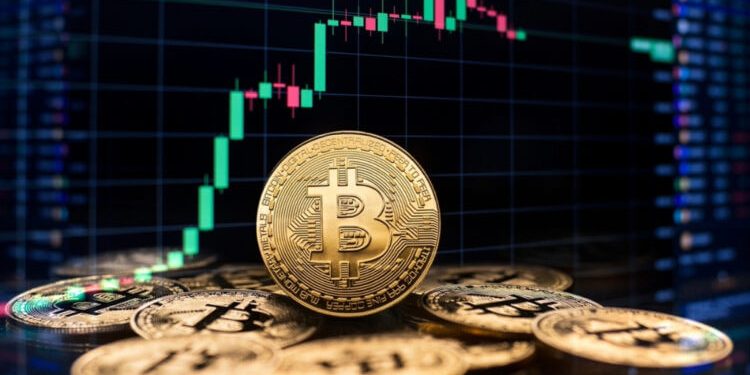 Bitcoin Crash Triggers Sharp Declines in Major Altcoins