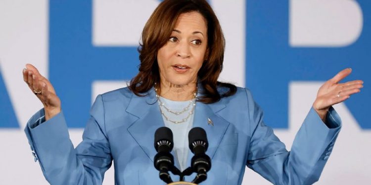 New poll reveals what Democrats think of Harris as president