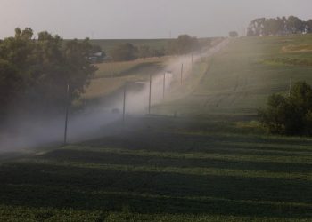 Tim Walz’s upbringing in rural Nebraska seemed idyllic. Then came tragedy.