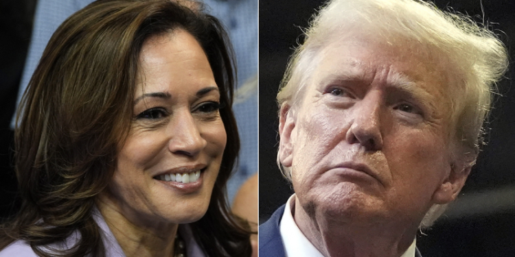 Americans view Harris as more honest than Trump, but trust her less on economy, immigration: poll