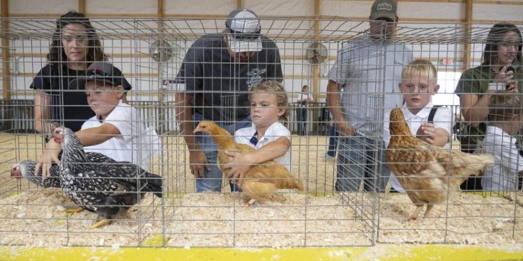 In red district Walz once held, a stark urban-rural divide over his record