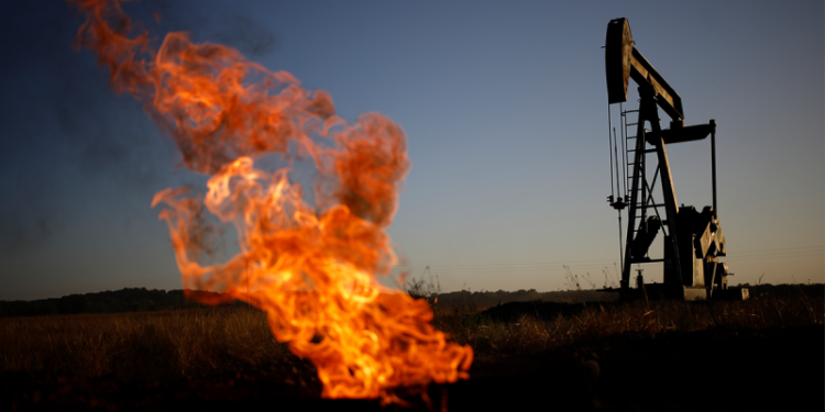 ‘Corruptly influencing the courts’: Climate justice group that trains federal judges under scrutiny