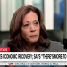 Kamala Harris offers vague ‘Day 1’ Oval Office plan in CNN interview: ‘A number of things’
