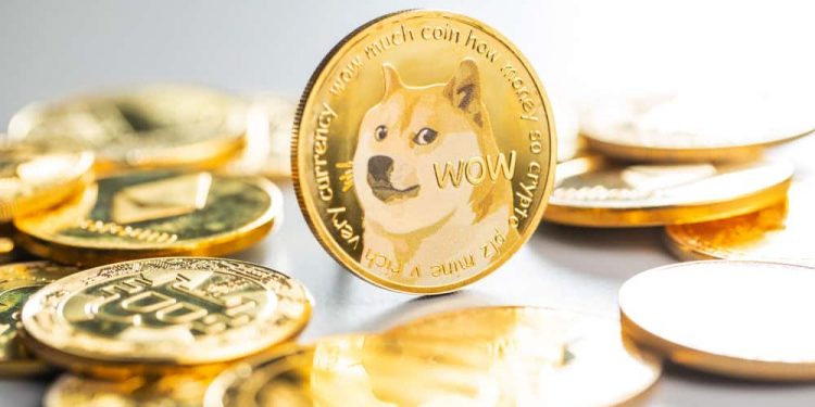 Dogecoin and Shiba Inu: Doge continues on the positive side