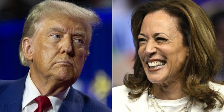 DAVID MARCUS: Kamala Harris’ newest vibe is fading momentum
