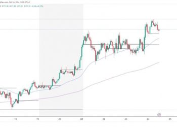 Solana and Cardano: Cardano drops to new weekly low