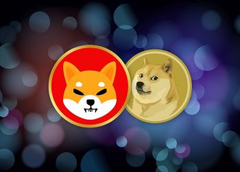 Dogecoin and Shiba Inu: New Highs and Support on Tuesday