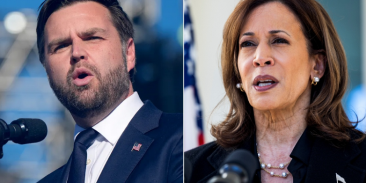 Vance rips Harris in battleground Georgia: ‘Stop telling Americans they’re bad’ for wanting ‘secure border’