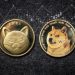 Dogecoin and Shiba Inu: New Support and Resistance Levels