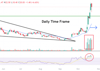 Top Stock Gainers and Losers: Oklo Up 22%, Neumora Falls 15%