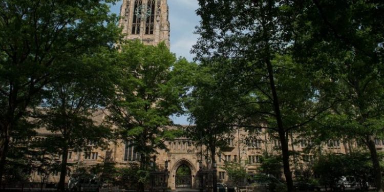 Stop funding the woke and the stupid