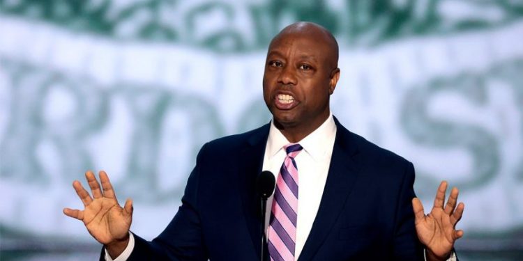 Trump ally Sen. Tim Scott’s new mission to help incoming president: ‘increase the majority’