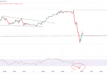 AUD/USD Tests Key Support; AUD/NZD Trading in Sideways Rally