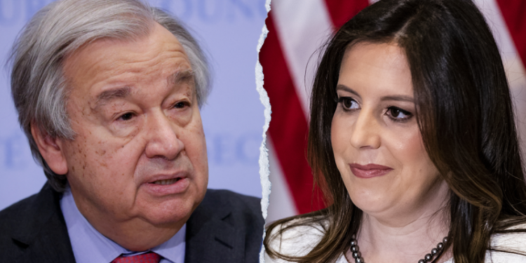 Trump’s UN ambassador pick Elise Stefanik could save taxpayers millions if taps Musk-Ramaswamy ‘DOGE’